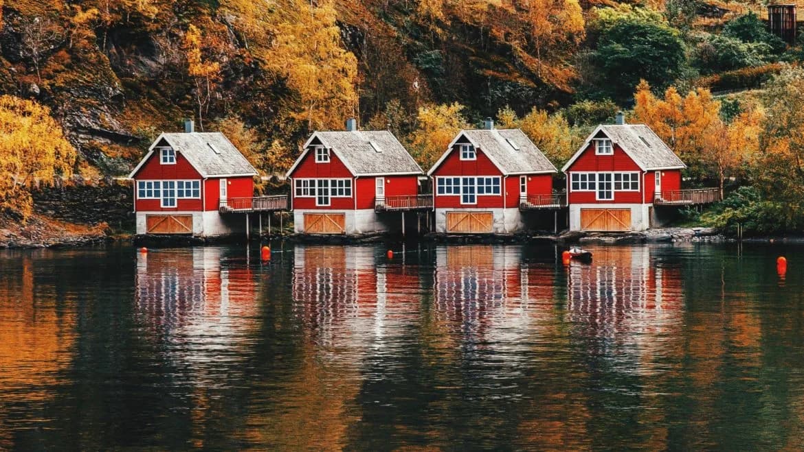 Coaches Share Insights on Building Winning Cultures